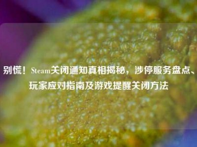别慌！Steam关闭通知真相揭秘，涉停服务盘点、玩家应对指南及游戏提醒关闭方法