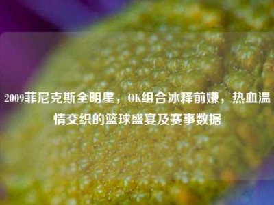 2009菲尼克斯全明星，OK组合冰释前嫌，热血温情交织的篮球盛宴及赛事数据