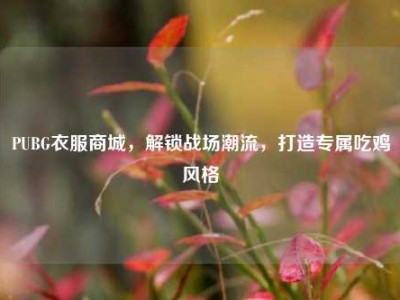 PUBG衣服商城，解锁战场潮流，打造专属吃鸡风格