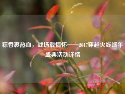 粽香裹热血，战场载情怀——2017穿越火线端午盛典活动详情