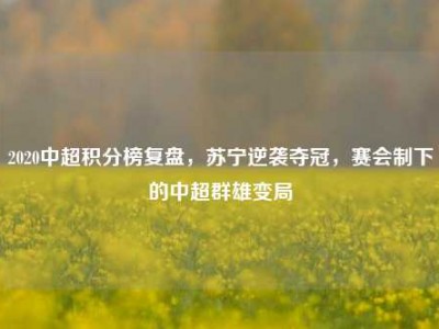 2020中超积分榜复盘，苏宁逆袭夺冠，赛会制下的中超群雄变局