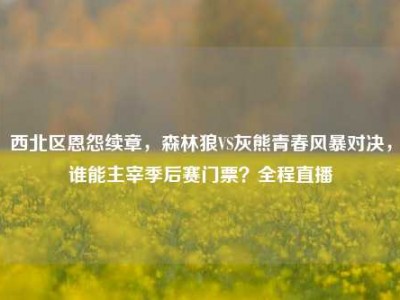 西北区恩怨续章，森林狼VS灰熊青春风暴对决，谁能主宰季后赛门票？全程直播