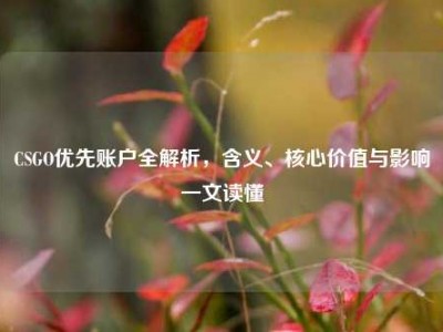 CSGO优先账户全解析，含义、核心价值与影响一文读懂