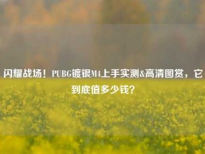 闪耀战场！PUBG镀银M4上手实测&高清图赏，它到底值多少钱？