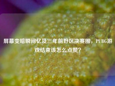 屏幕变暗瞬间忆及三年前野区决赛圈，PUBG游戏结束该怎么点赞？