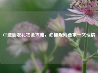 CF送朋友礼物全攻略，必懂规则要求一文理清