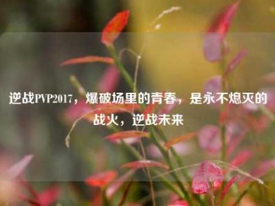 逆战PVP2017，爆破场里的青春，是永不熄灭的战火，逆战未来