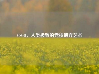 CSGO，人类极致的竞技博弈艺术
