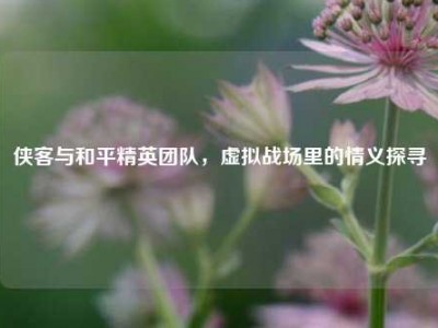 侠客与和平精英团队，虚拟战场里的情义探寻
