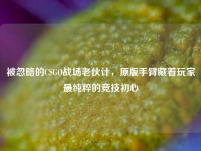 被忽略的CSGO战场老伙计，原版手臂藏着玩家最纯粹的竞技初心