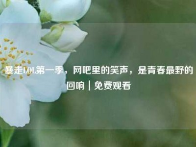 暴走LOL第一季，网吧里的笑声，是青春最野的回响｜免费观看