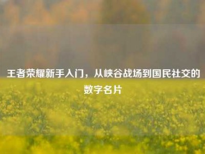 王者荣耀新手入门，从峡谷战场到国民社交的数字名片