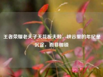 王者荣耀老夫子天花板夫赖，峡谷里的年纪是沉淀，而非枷锁
