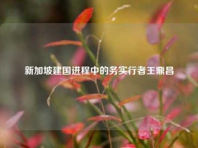 新加坡建国进程中的务实行者王鼎昌