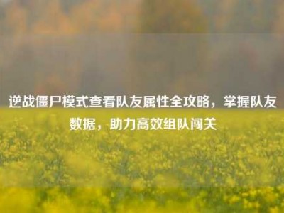 逆战僵尸模式查看队友属性全攻略，掌握队友数据，助力高效组队闯关