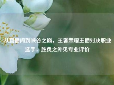 从直播间到峡谷之巅，王者荣耀主播对决职业选手，胜负之外见专业评价