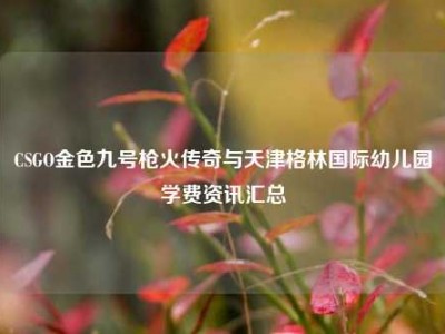 CSGO金色九号枪火传奇与天津格林国际幼儿园学费资讯汇总