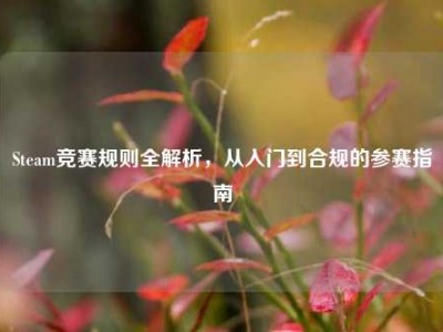 Steam竞赛规则全解析，从入门到合规的参赛指南