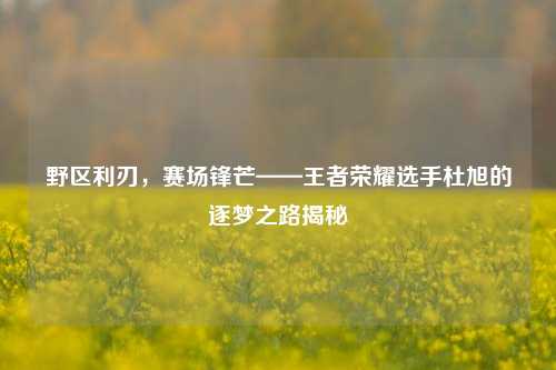 野区利刃，赛场锋芒——王者荣耀选手杜旭的逐梦之路揭秘