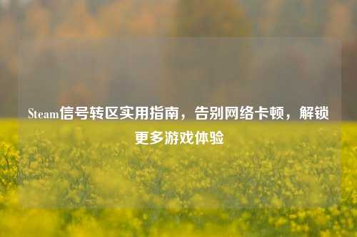 Steam信号转区实用指南，告别网络卡顿，解锁更多游戏体验