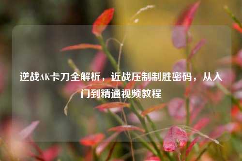 逆战AK卡刀全解析，近战压制制胜密码，从入门到精通视频教程