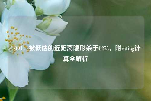 CSGO，被低估的近距离隐形杀手C275，附rating计算全解析