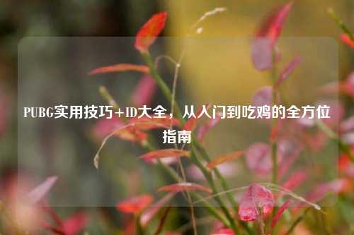 PUBG实用技巧+ID大全,从入门到吃鸡的全方位指南