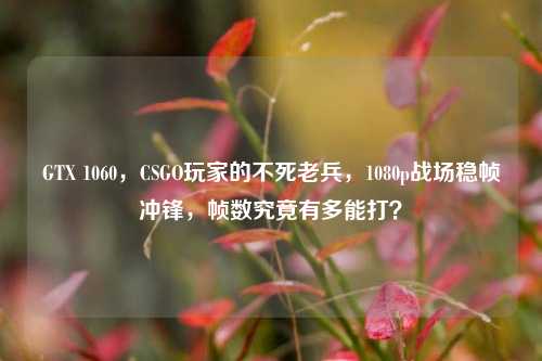 GTX 1060，CSGO玩家的不死老兵，1080p战场稳帧冲锋，帧数究竟有多能打？