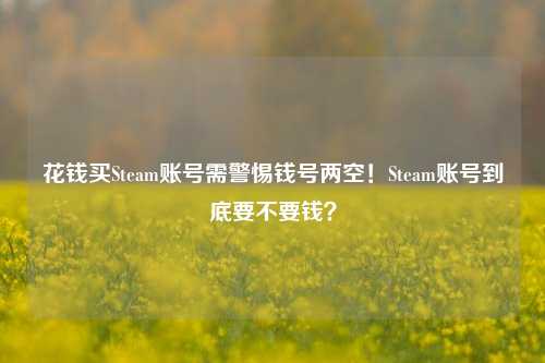 花钱买Steam账号需警惕钱号两空!Steam账号到底要不要钱?