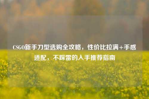CSGO新手刀型选购全攻略，性价比拉满+手感适配，不踩雷的入手推荐指南