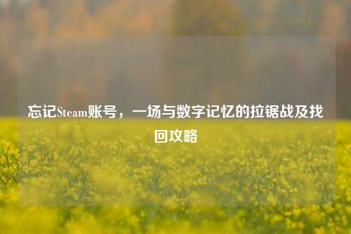忘记Steam账号，一场与数字记忆的拉锯战及找回攻略