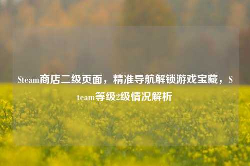 Steam商店二级页面，精准导航解锁游戏宝藏，Steam等级2级情况解析