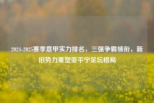 2024-2025赛季意甲实力排名,三强争霸领衔,新旧势力重塑亚平宁足坛格局