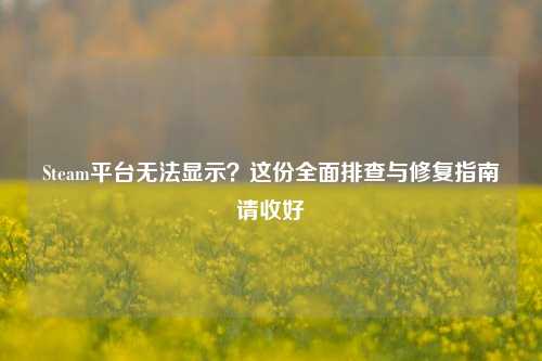 Steam平台无法显示？这份全面排查与修复指南请收好