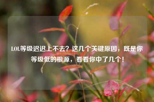 LOL等级迟迟上不去?这几个关键原因,既是你等级低的根源,看看你中了几个!