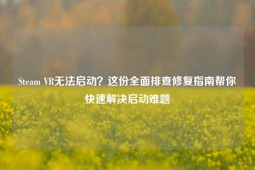 Steam VR无法启动？这份全面排查修复指南帮你快速解决启动难题