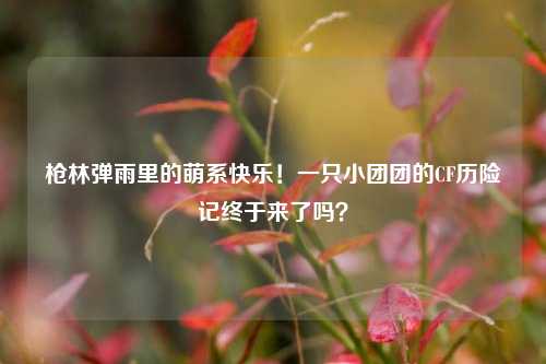 枪林弹雨里的萌系快乐！一只小团团的CF历险记终于来了吗？