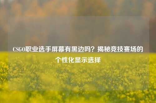 CSGO职业选手屏幕有黑边吗？揭秘竞技赛场的个性化显示选择