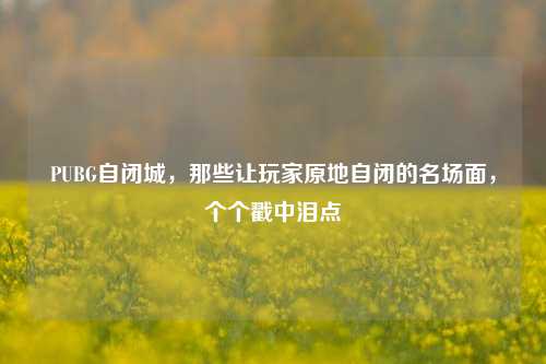 PUBG自闭城，那些让玩家原地自闭的名场面，个个戳中泪点