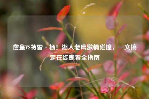 詹皇VS特雷·杨！湖人老鹰激情碰撞，一文搞定在线观看全指南