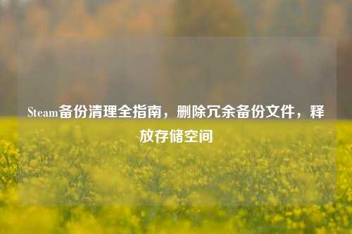 Steam备份清理全指南,删除冗余备份文件,释放存储空间