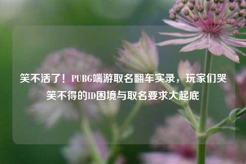 笑不活了！PUBG端游取名翻车实录，玩家们哭笑不得的ID困境与取名要求大起底