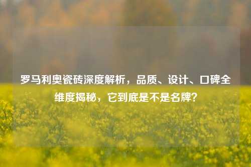 罗马利奥瓷砖深度解析，品质、设计、口碑全维度揭秘，它到底是不是名牌？