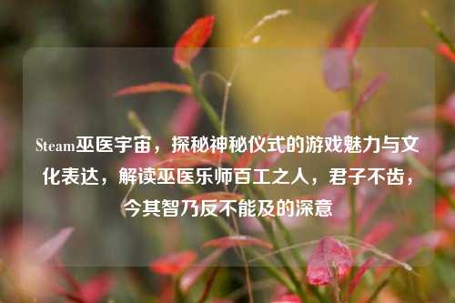Steam巫医宇宙，探秘神秘仪式的游戏魅力与文化表达，解读巫医乐师百工之人，君子不齿，今其智乃反不能及的深意