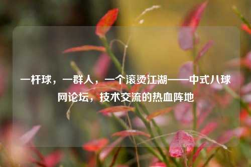 一杆球，一群人，一个滚烫江湖——中式八球网论坛，技术交流的热血阵地