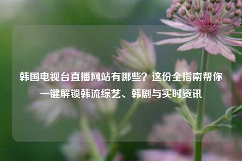 韩国电视台直播网站有哪些？这份全指南帮你一键解锁韩流综艺、韩剧与实时资讯