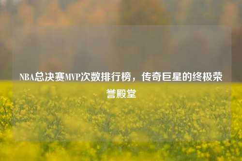 NBA总决赛MVP次数排行榜，传奇巨星的终极荣誉殿堂