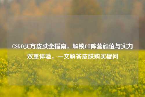 CSGO买方皮肤全指南，解锁CT阵营颜值与实力双重体验，一文解答皮肤购买疑问