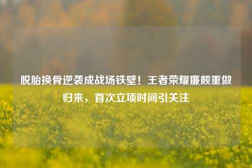 脱胎换骨逆袭成战场铁壁!王者荣耀廉颇重做归来,首次立项时间引关注