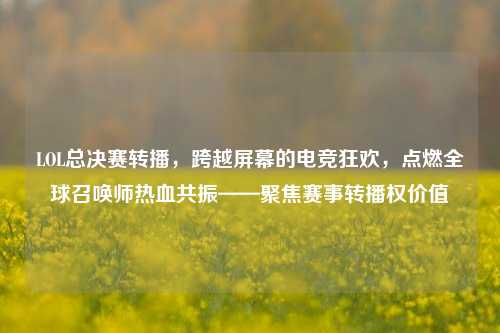 LOL总决赛转播,跨越屏幕的电竞狂欢,点燃全球召唤师热血共振——聚焦赛事转播权价值